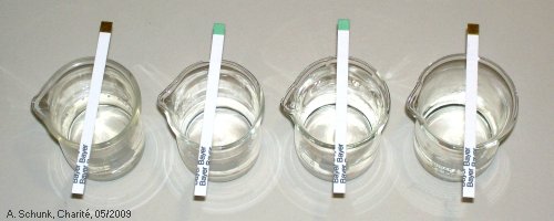 Experiment des Monats