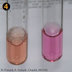 Experiment des Monats