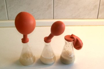 Experiment des Monats