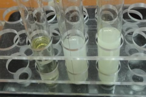 Experiment des Monats