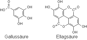 Gallussäure / Ellagsäure